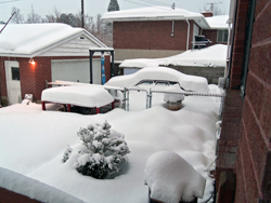 The view from the back door last Saturday, looking toward the garage, driveway and my poor buried car. Click on image to view larger size in a new window.