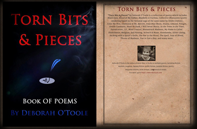 "Torn Bits & Pieces" by Deborah O'Toole. Click on image to view larger size in a new window.