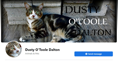 Official Facebook page for Dusty O'Toole Dalton. Click on image to go to it.