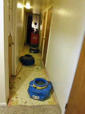 Downstairs hallway being dried by turbo fans after flood (07/28/15). Click on image to view larger size in a new window.
