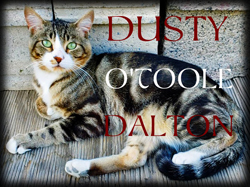Dusty O'Toole Dalton. Click on image to view larger size in a new window.