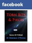 "Torn Bits & Pieces" @ Facebook