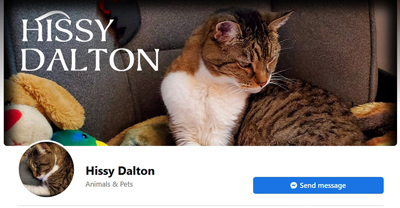 Official Facebook page for Hissy Dalton. Click on image to go to it.