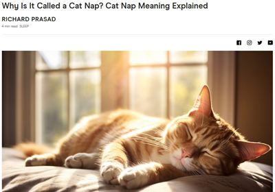Why Is It Called a Cat Nap? Cat Nap Meaning Explained by Richard Prasad