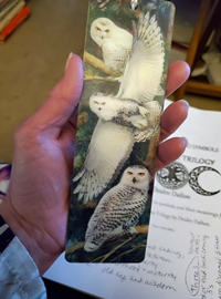 The bookmark I'm using for research into triple goddess symbolism for the Bloodline Trilogy has three 3-D owls as the background. Very apropos, without intention.