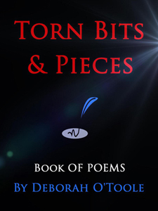 "Torn Bits & Pieces" by Deborah O'Toole
